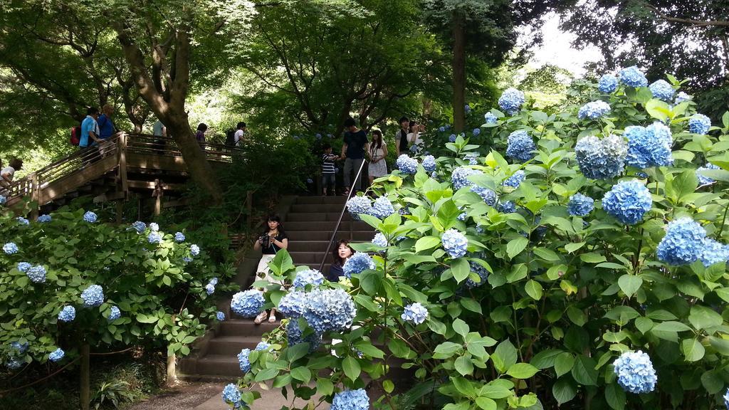 Enoshima Pensión 134 Fujisawa Exterior foto